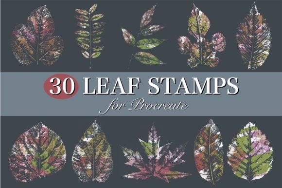 Leaf Stamps for Procreate: Elevating Your Botanical Art Workflow