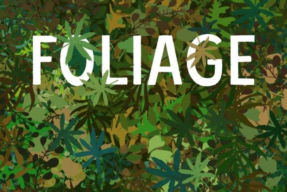 Mastering Natural Textures with the Procreate Foliage Brush Set